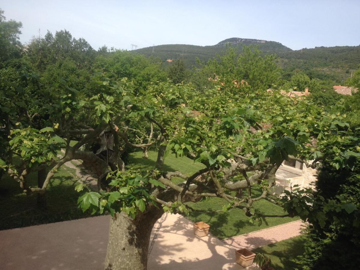 Bed and Breakfast L'Abri Du Poete Besse-sur-Issole Номер фото