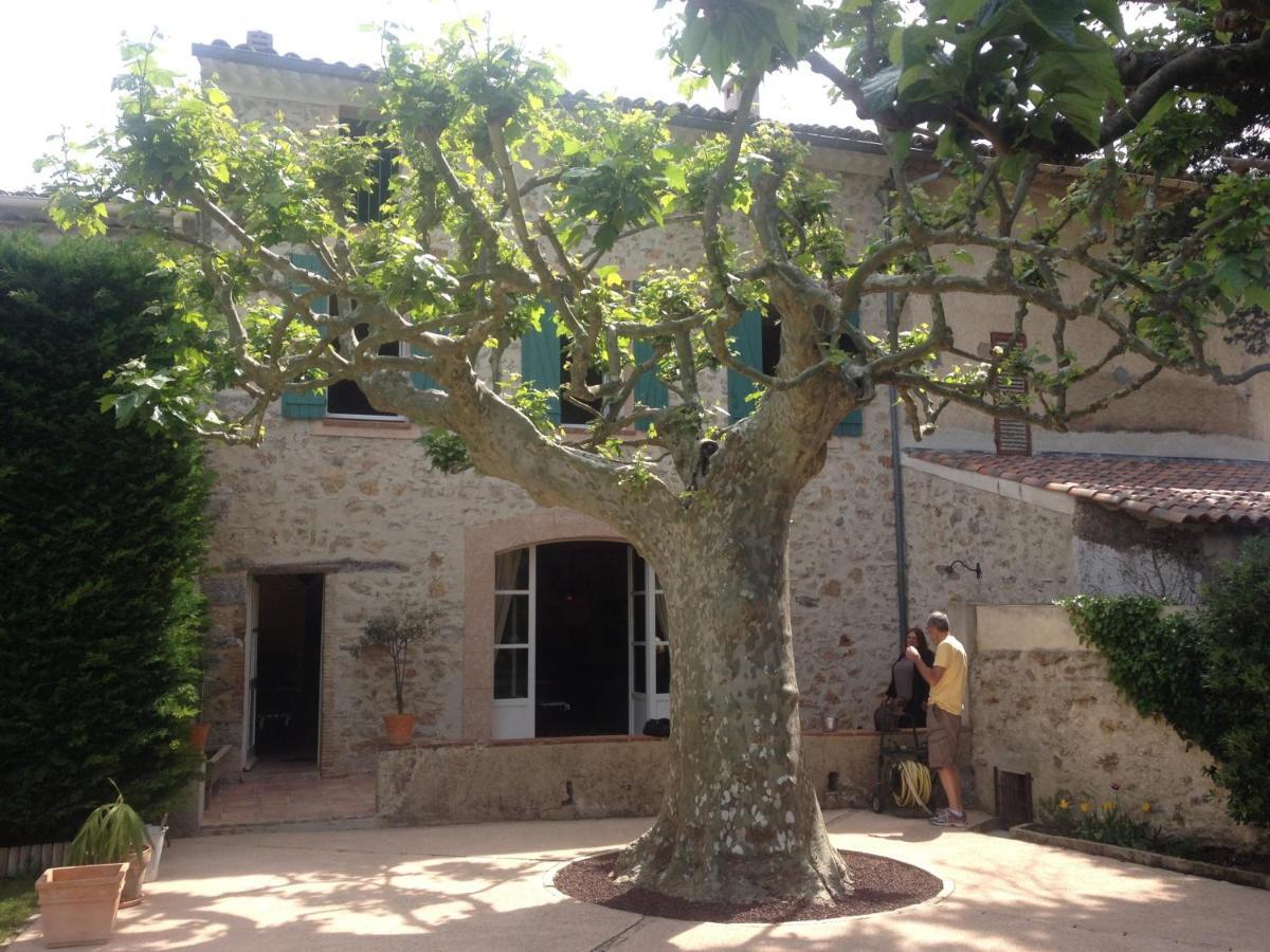 Bed and Breakfast L'Abri Du Poete Besse-sur-Issole Экстерьер фото